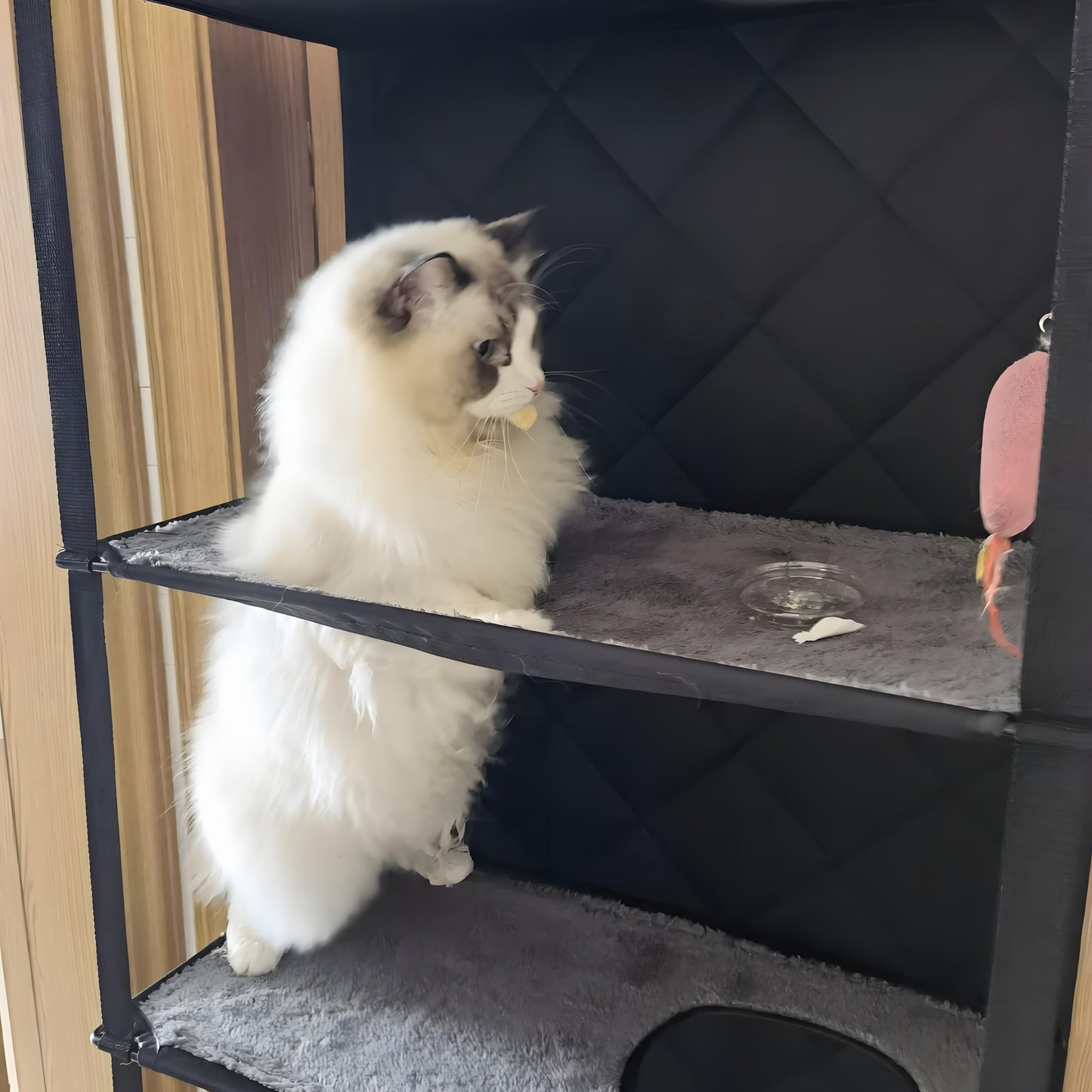 4 Level Door Mounted Cat Climber Foldable Multifunctional Cat Tower Bed