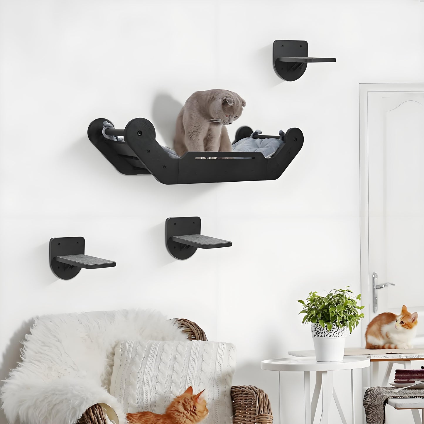 Olanty Cat Wall Shelves with 3 Steps - Wall Mounted Cat Tree Set Climbing, Playing and Sleeping