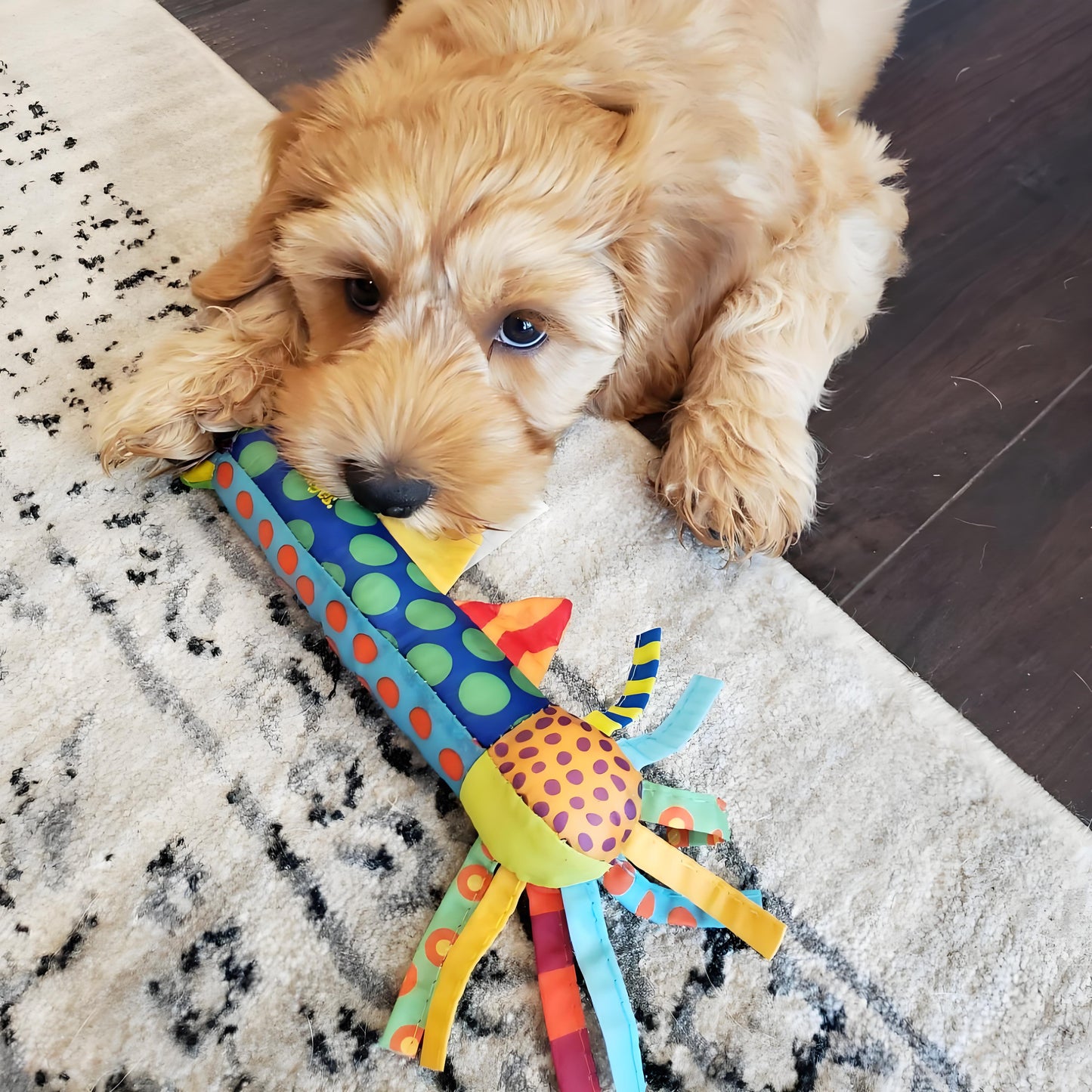 Dog Cooling Teething Sticks for Dogs Soothing Chew Toy for Teething Puppies Durable, safe, and supportive of dental health