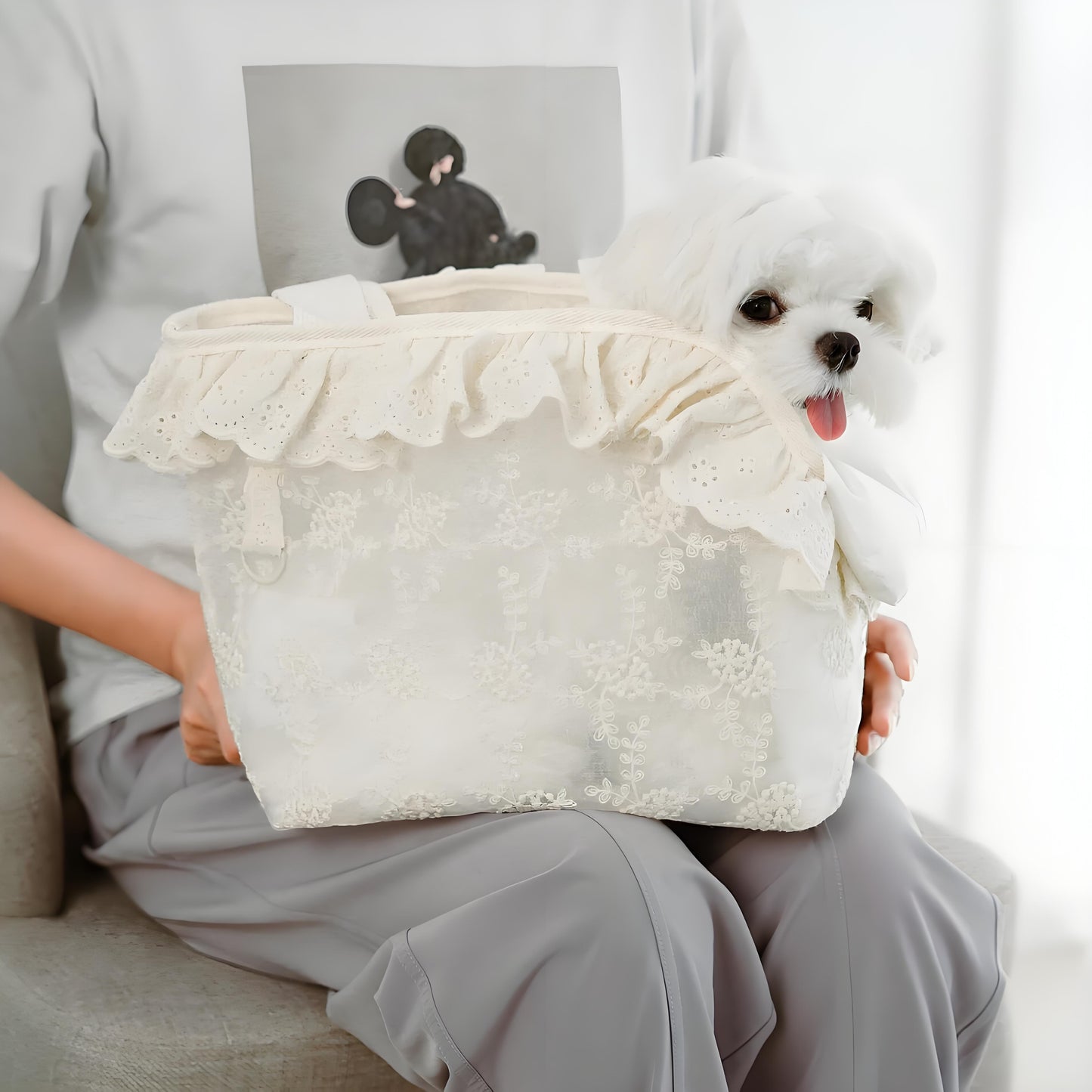 Olanty Princess Lace Carrier bag for Small Dogs & Cats, Breathable Mesh Travel Soft Handbag for Your Girls