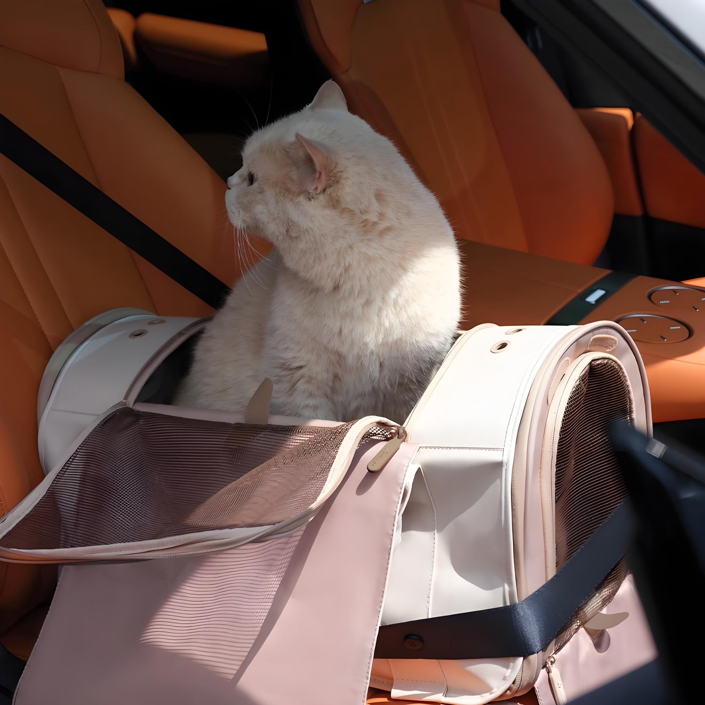 Olanty Portable Soft-Sided Car-Friendly Large-Capacity Breathable Pet Travel Bag