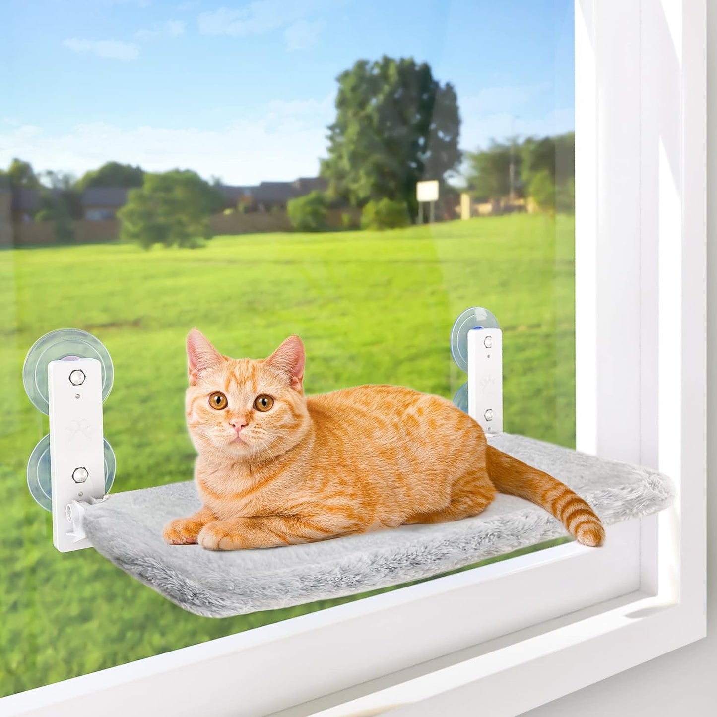Olanty Cat Window Perch Cordless Foldable Cat Hammock for Wall with 4 Suction Cups