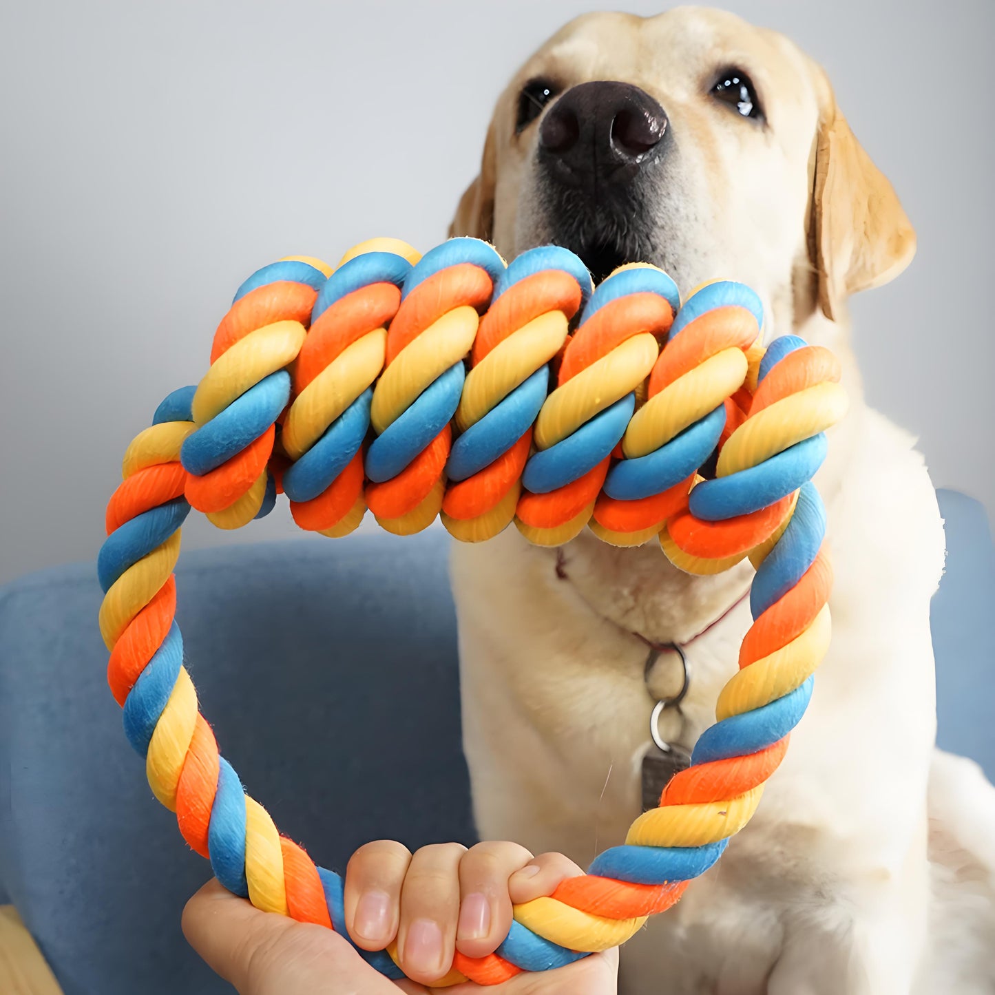 Dog Cotton Rope Chewing Ring for Medium Dogs, Suitable for Pulling Plaything, Throwing and Catching Training